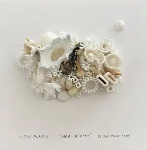 Coral Blooms, 2024