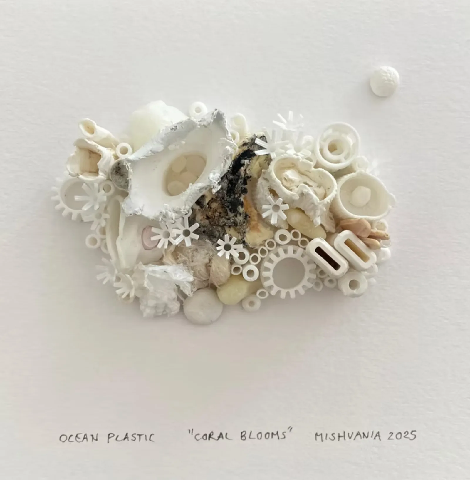Michelle "Mishvania" Beattie — Coral Blooms